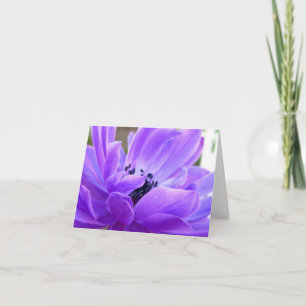Springtime Violet Anemone Note Card