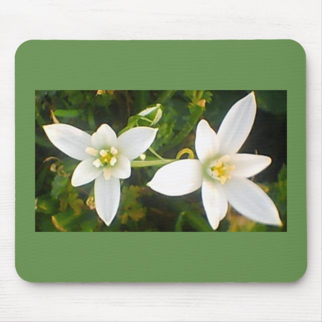 Springtime White Flowering Blooms Mouse Pad (Front)