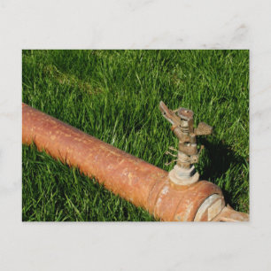 Sprinkler Postcard