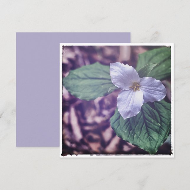Sprint Trillium Autochrome Style Card (Front/Back)