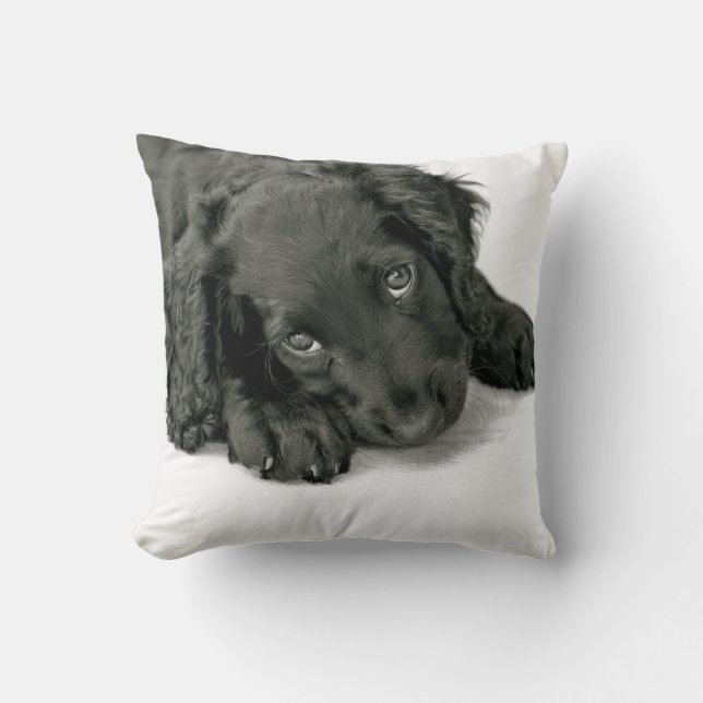 Sprocker Spaniel Dave Throw Pillow (Front)