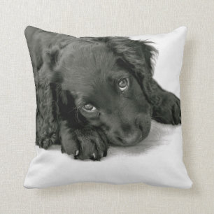 Sprocker Spaniel Dave Throw Pillow