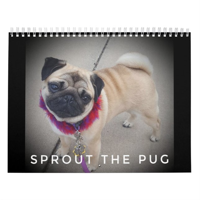 Sprout The Pug Calendar 2019 (Cover)