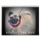 Sprout The Pug Calendar 2019