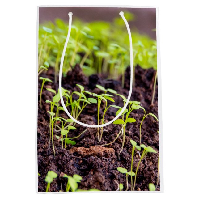 Sprouting grass medium gift bag (Front)