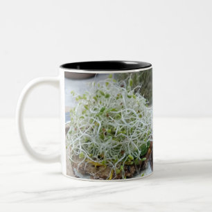 Sprouting: the Beginners Guide to Growing Sprouts! Two-Tone Coffee Mug