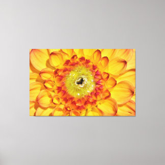 Sprouting Yellow Dahlia Flower Canvas Print