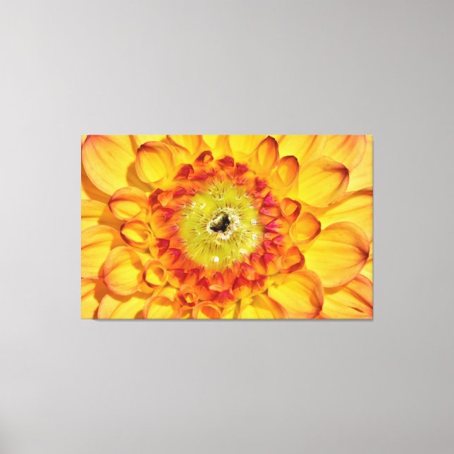 Sprouting Yellow Dahlia Flower Canvas Print (Front)