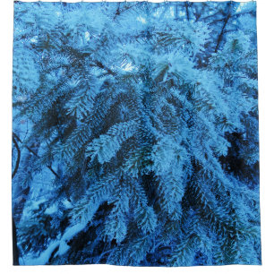 Spruce branches covered with snow & frost crystals