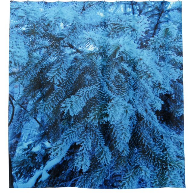 Spruce branches covered with snow & frost crystals (Front)