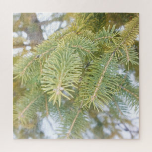 Spruce Branches in Snow. Buy Now Jigsaw Puzzle