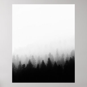Spruce forest in fog poster