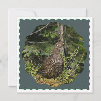 Spruce Grouse