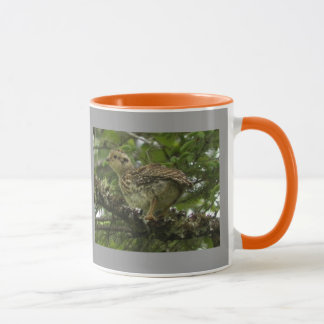 Spruce Grouse Chick Mug