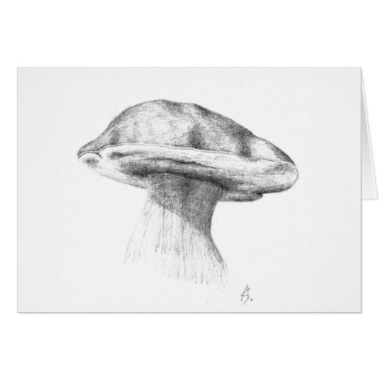 Spruce king bolete card
