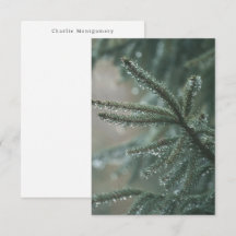 Spruce tree - seasonal winter custom name