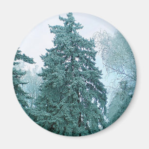 Spruce tree with snow magnet