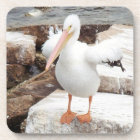 Spunky Pelican Coasters
