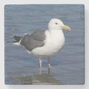 Spunky Wading Seagull Marble Coaster