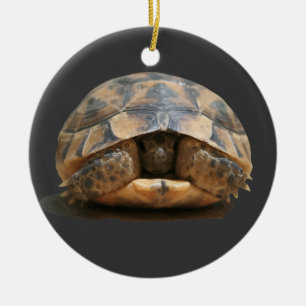 Spur-Thighed Tortoise Retracting Ceramic Ornament