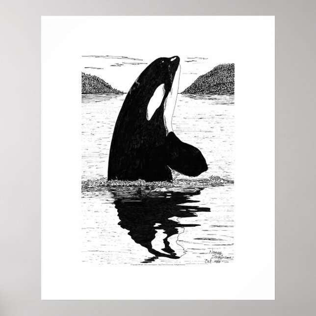 Spy-Hopping Killer Whale, Pen and Ink Poster (Front)