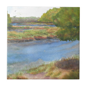 squamscott river at newfields july 31 2015 tile