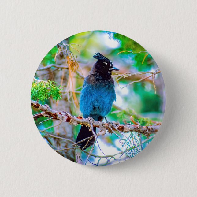 square 2 inch round button (Front)