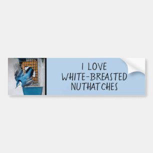 square bumper sticker