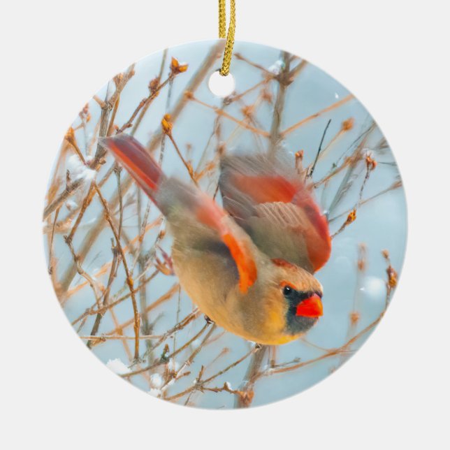 square ceramic ornament (Front)