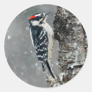square classic round sticker