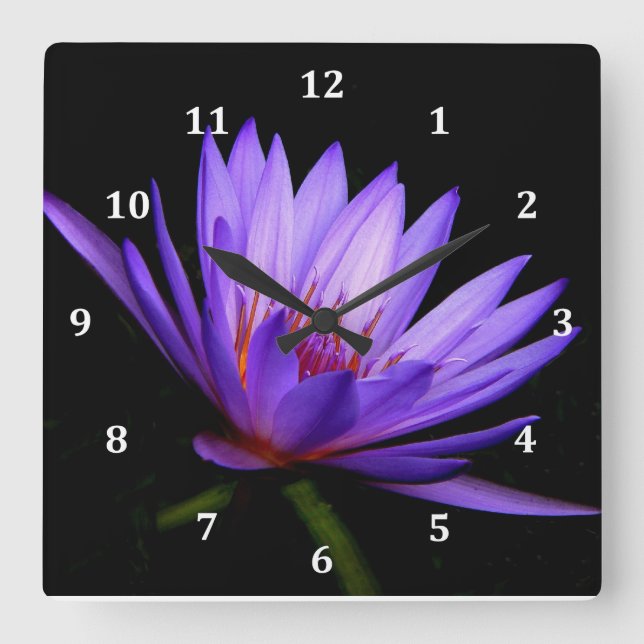 Square Clock, Dark Side of the Purple Water Lily Square Wall Clock (Front)