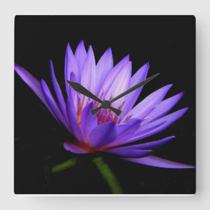 Square Clock, Dark Side of the Purple Water Lily Square Wall Clock