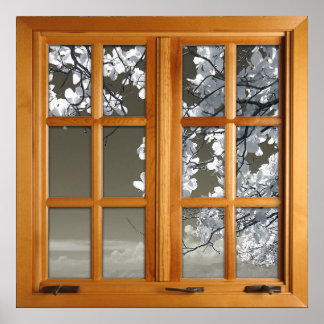Square Faux Window Illusion - White Blossoms Poster