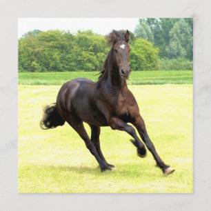 Square Invitation - Customized