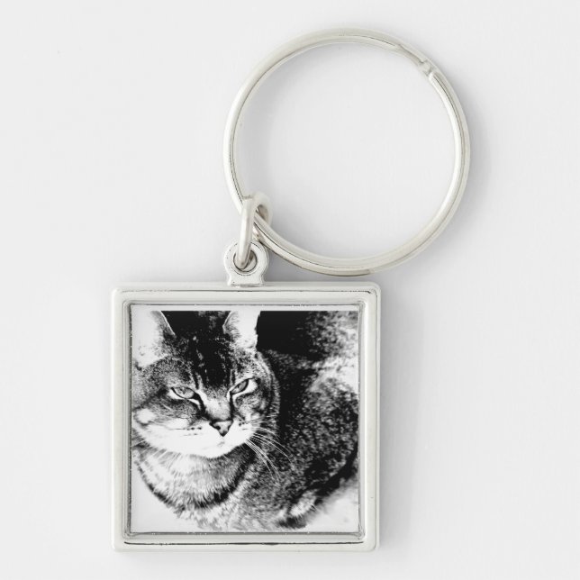 Square Keychain - Watchful Cat! (Front)