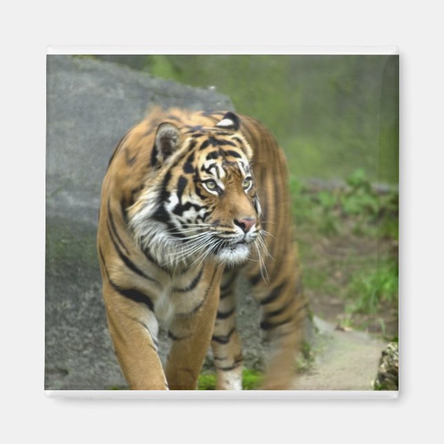 Square Magnet (Front)