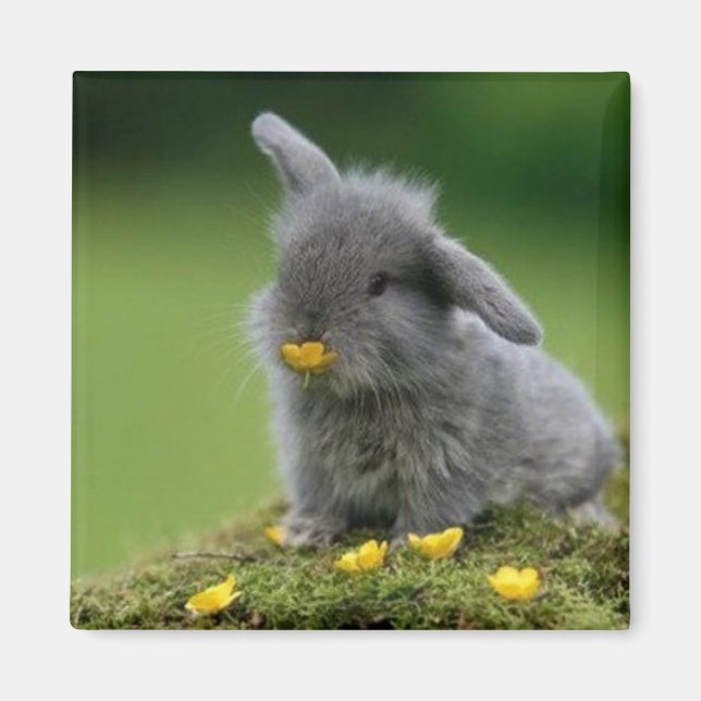 Square magnet (Front)