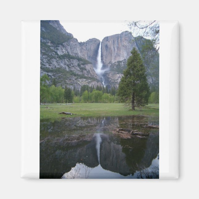 Square Magnet (Front)