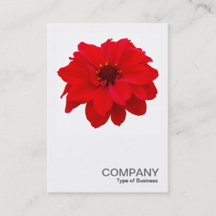 Square Photo 0160 - Dahlia, Bishop of Llandaff Business Card