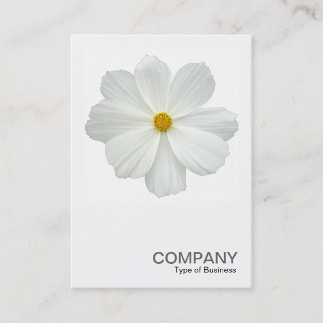 Square Photo 0161 - White Cosmos Flower Business Card (Front)