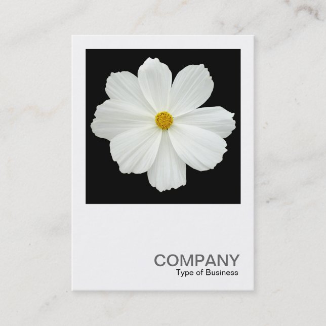 Square Photo 0167 - Cosmos Flower on Black Business Card (Front)