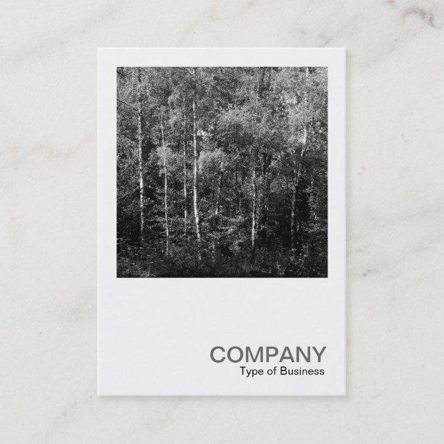 Square Photo 0169 - Silver Birch Trees Business Card (Front)