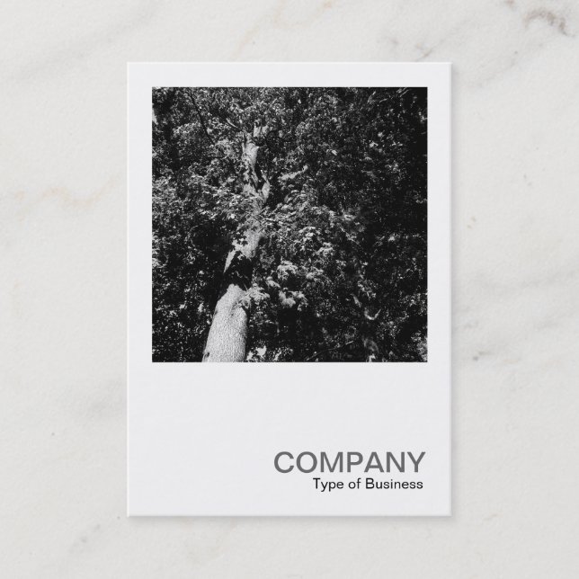 Square Photo 0170 - London Plane Tree Business Card (Front)