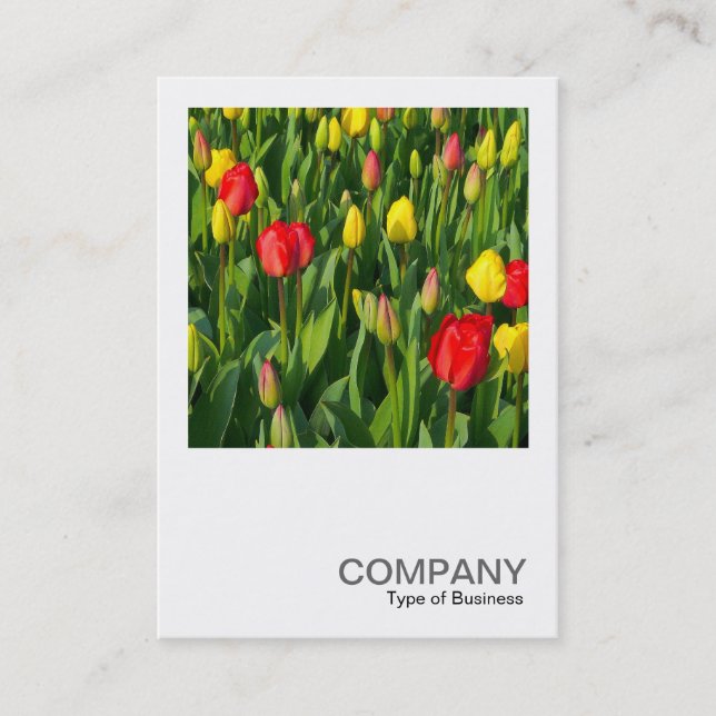 Square Photo 0203 - Colourful Tulips II Business Card (Front)