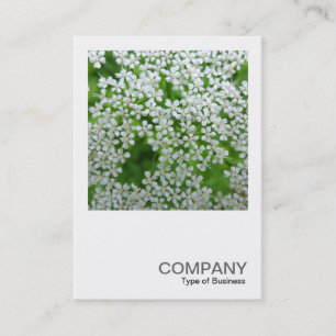 Square Photo 0232 - Cow Parsley Business Card