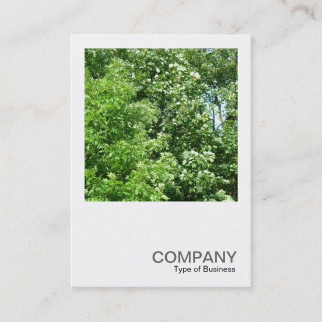 Square Photo 0237 - Summer Breeze Business Card (Front)