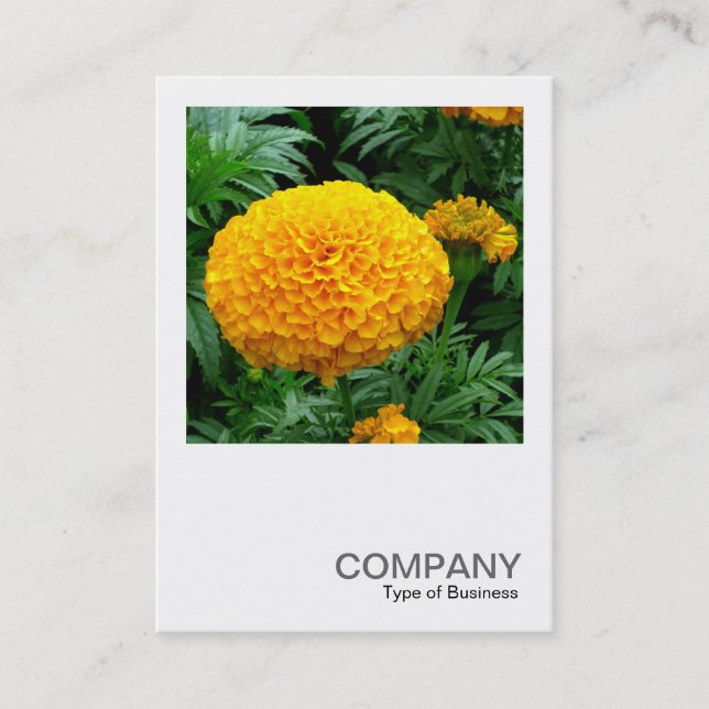 Square Photo 0240 - Orange Chrysanthemum Business Card (Front)