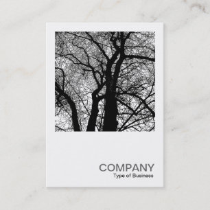 Square Photo 0277 - High Contrast Tree Business Card