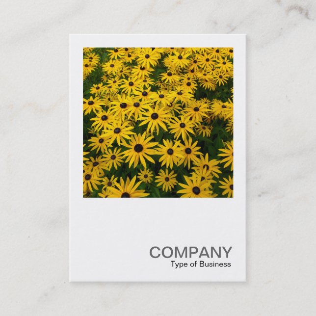 Square Photo 0338 - Black-eyed Susans (Rudbeckia H Business Card (Front)