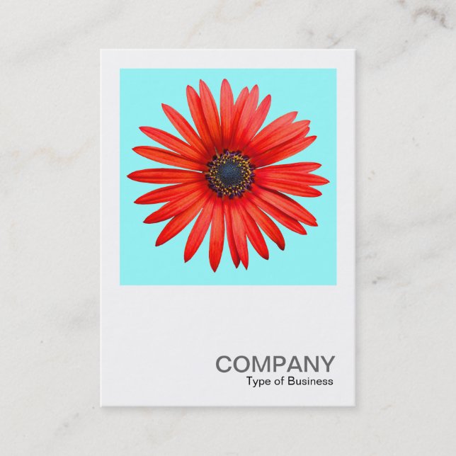 Square Photo 0344 - Red Devil on Ice Blue Business Card (Front)